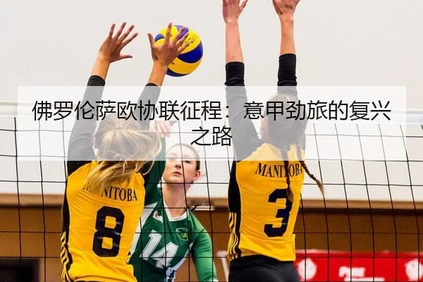 fo-luo-lun-sa-ou-xie-lian-zheng-cheng-yi-jia-jing-lv-de-fu-xing-zhi-lu-2-419.jpg